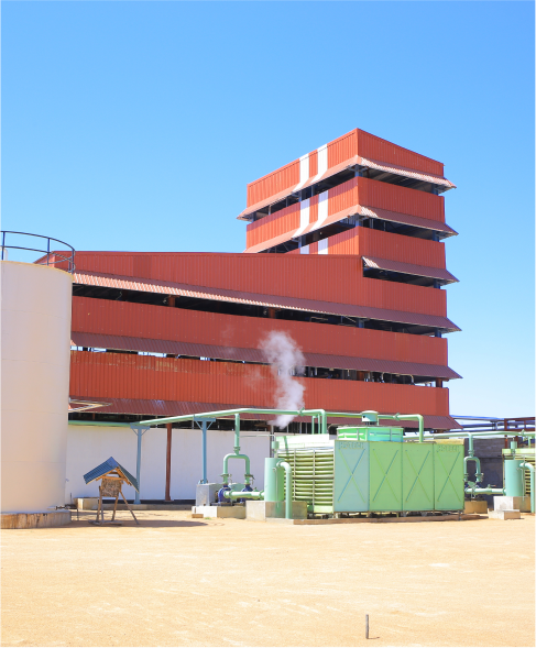 Edible Oil Refinery for Sesame Oil