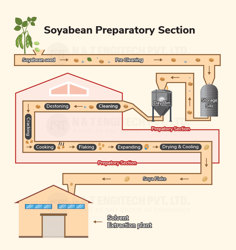 A StepbyStep Guide Exploring the Art and Science Behind Soybean Oil