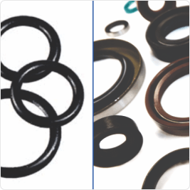 O Ring And Oil Seal