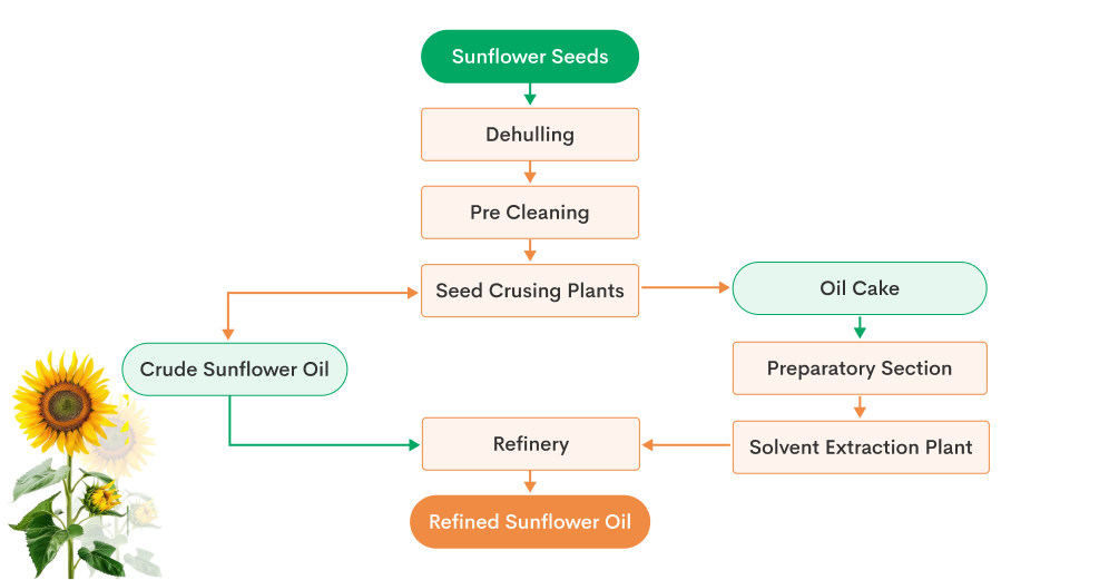 Sunflower Oil Process